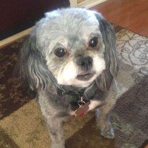 Meet your Posher, Fernando